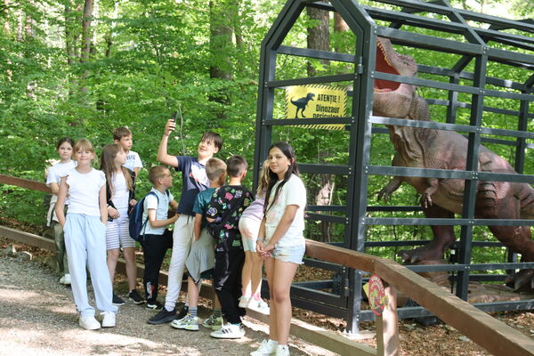 Excursie Brașov 2026