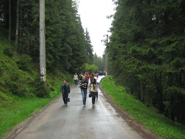 Moldova Bucovina 2013
